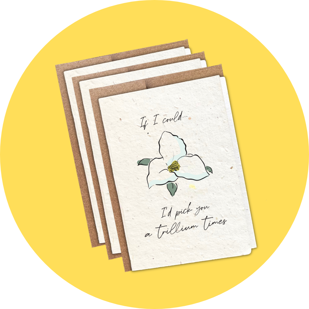 A Trillium Times - Mini Card (3-Pack)