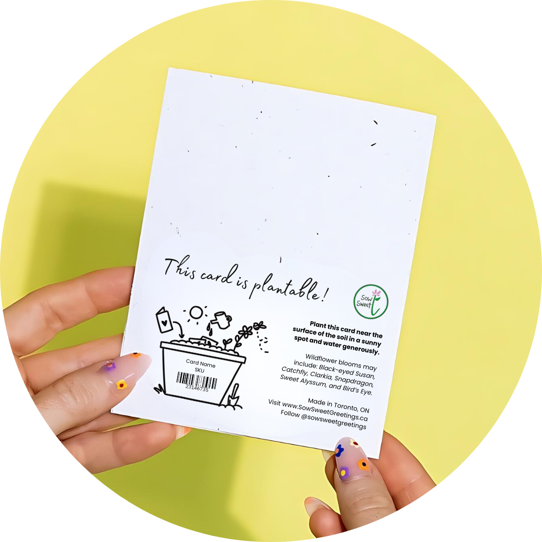 Assorted Thank You - Plantable Card Boxed Set