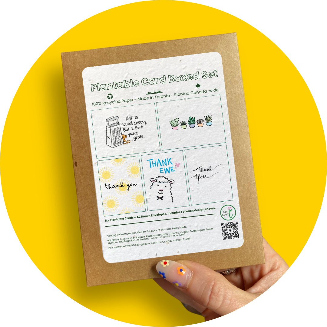 Assorted Thank You - Plantable Card Boxed Set