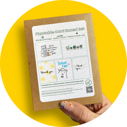Assorted Thank You - Plantable Card Boxed Set