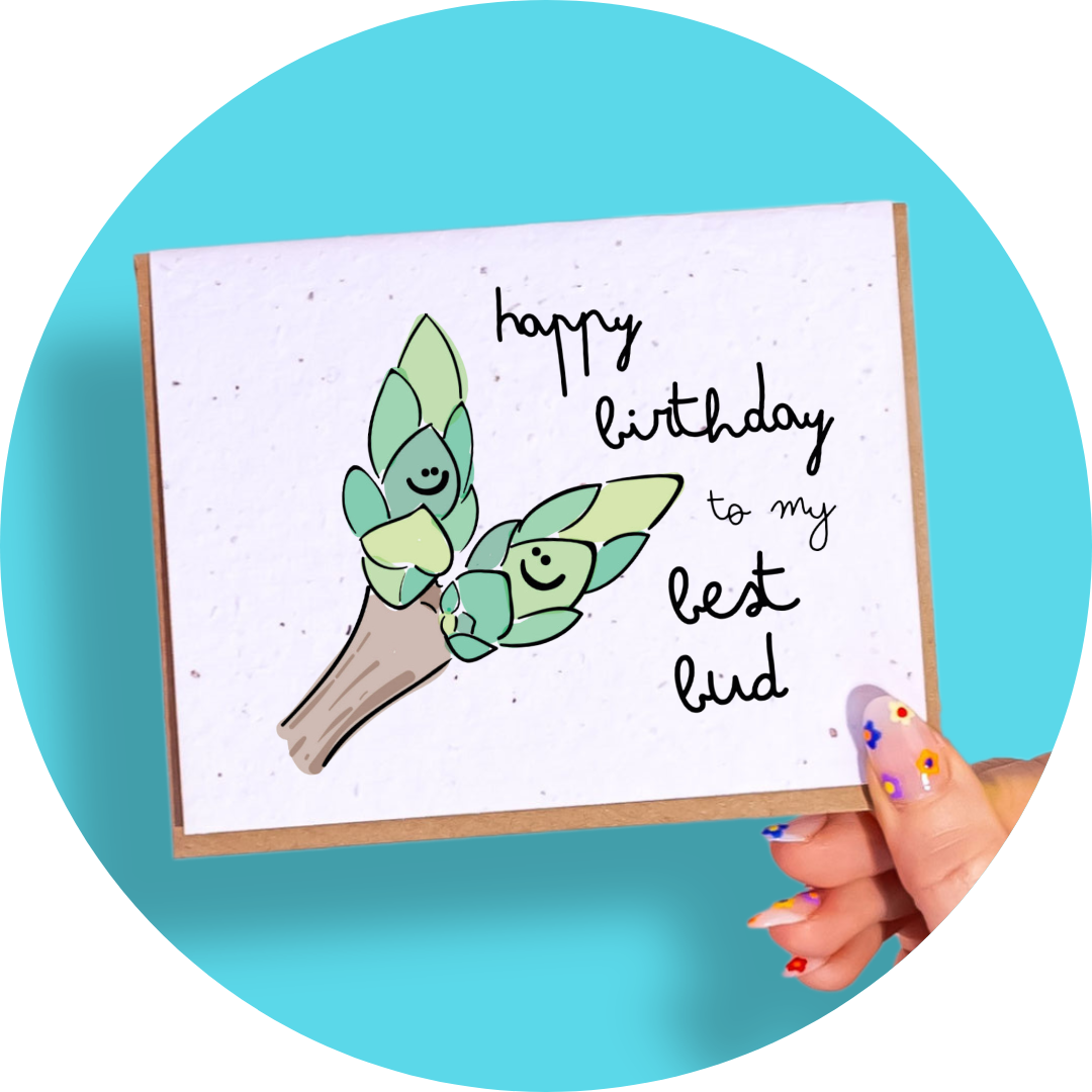 Assorted Birthday - Plantable Card Boxed Set