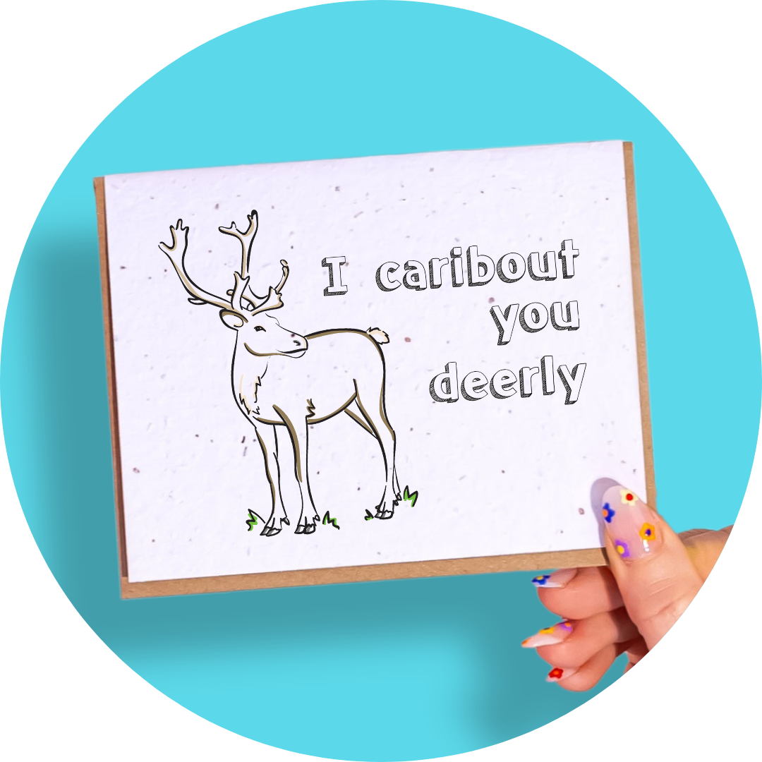 I Caribout You