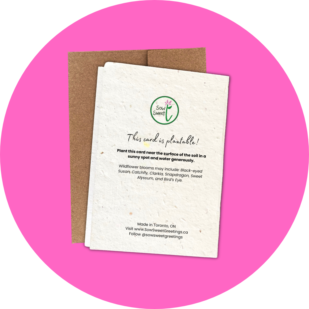 A Trillium Times - Mini Card (3-Pack)